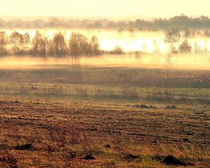 Preview wallpaper field, fog, morning, awakening