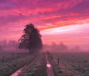 Preview wallpaper field, fog, road, trees, dusk