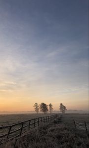 Preview wallpaper field, fog, sunrise, horizon, grass, fence, trees, dawn