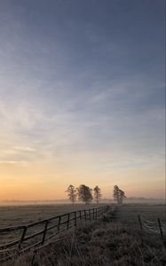 Preview wallpaper field, fog, sunrise, horizon, grass, fence, trees, dawn