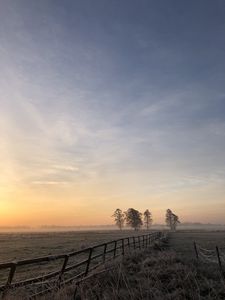 Preview wallpaper field, fog, sunrise, horizon, grass, fence, trees, dawn