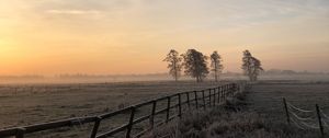 Preview wallpaper field, fog, sunrise, horizon, grass, fence, trees, dawn