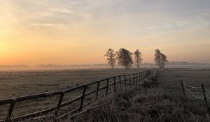 Preview wallpaper field, fog, sunrise, horizon, grass, fence, trees, dawn