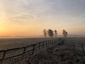 Preview wallpaper field, fog, sunrise, horizon, grass, fence, trees, dawn