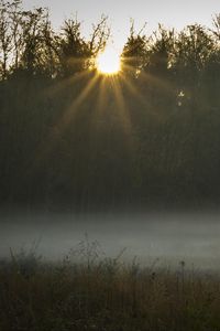 Preview wallpaper field, fog, sunset, sunlight, grass