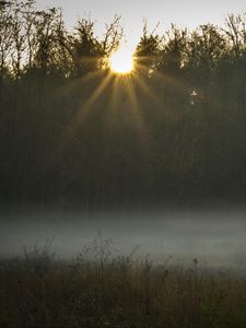 Preview wallpaper field, fog, sunset, sunlight, grass