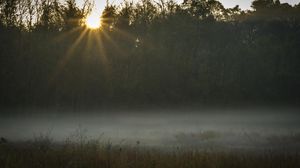 Preview wallpaper field, fog, sunset, sunlight, grass