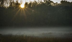 Preview wallpaper field, fog, sunset, sunlight, grass