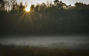 Preview wallpaper field, fog, sunset, sunlight, grass