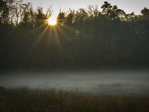 Preview wallpaper field, fog, sunset, sunlight, grass
