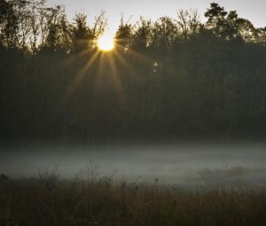 Preview wallpaper field, fog, sunset, sunlight, grass