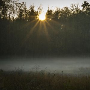 Preview wallpaper field, fog, sunset, sunlight, grass