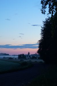 Preview wallpaper field, fog, trees, landscape, sunrise