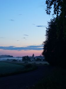 Preview wallpaper field, fog, trees, landscape, sunrise