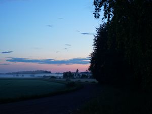 Preview wallpaper field, fog, trees, landscape, sunrise