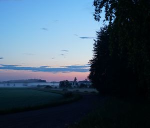 Preview wallpaper field, fog, trees, landscape, sunrise