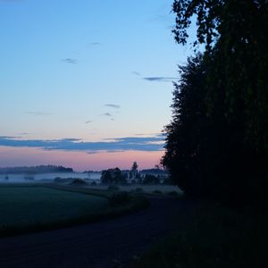 Preview wallpaper field, fog, trees, landscape, sunrise