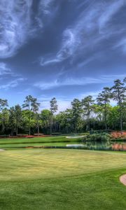 Preview wallpaper field, golf course, trees, landscape