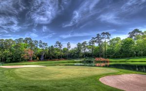 Preview wallpaper field, golf course, trees, landscape