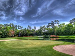 Preview wallpaper field, golf course, trees, landscape