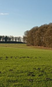 Preview wallpaper field, grass, autumn, trees, fence