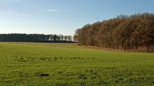 Preview wallpaper field, grass, autumn, trees, fence