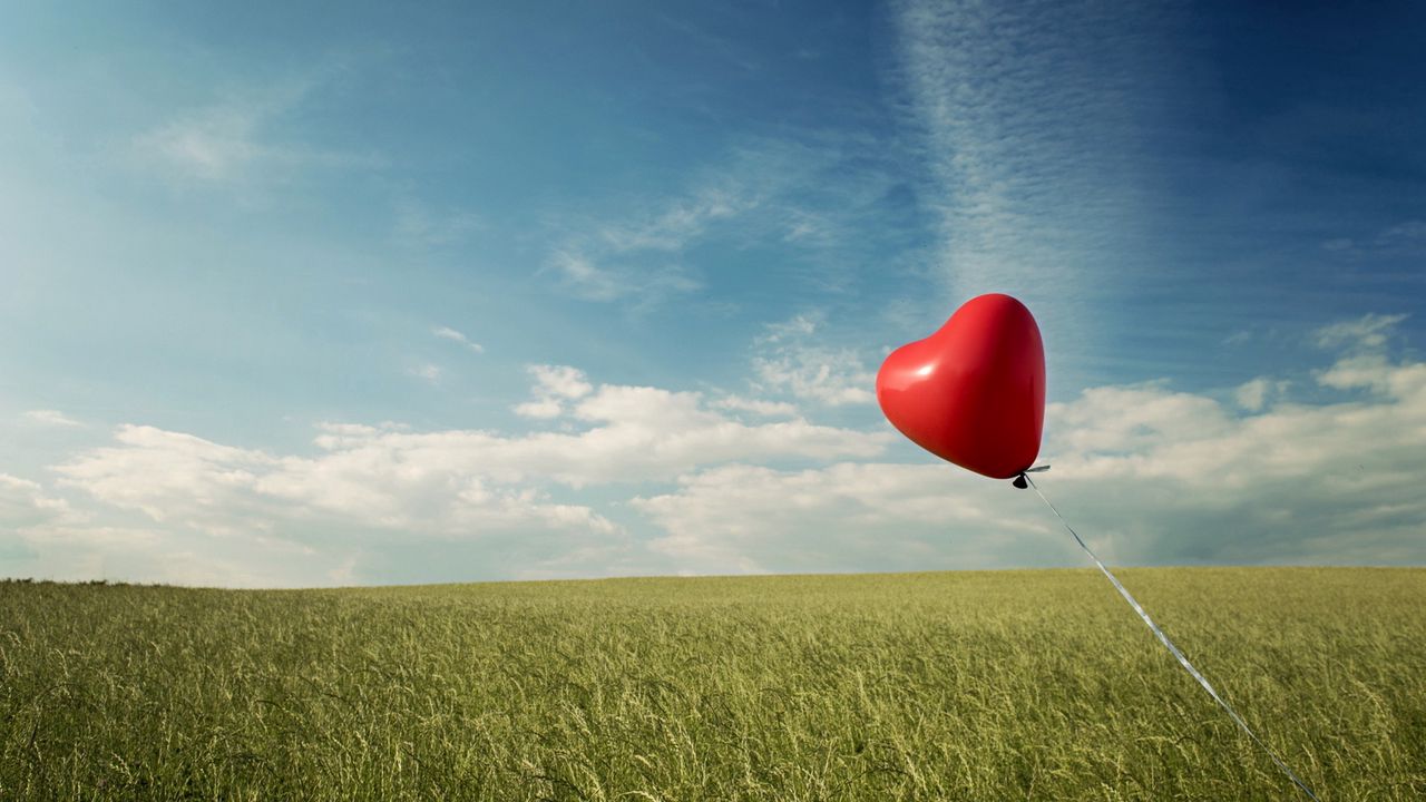 Wallpaper field, grass, balloons, wind