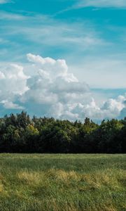 Preview wallpaper field, grass, clouds, trees