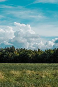 Preview wallpaper field, grass, clouds, trees