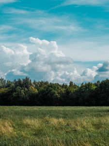 Preview wallpaper field, grass, clouds, trees