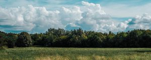 Preview wallpaper field, grass, clouds, trees