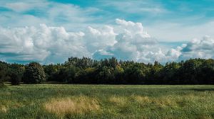 Preview wallpaper field, grass, clouds, trees