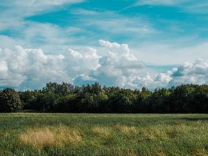 Preview wallpaper field, grass, clouds, trees