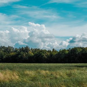 Preview wallpaper field, grass, clouds, trees