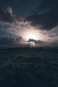 Preview wallpaper field, grass, clouds, cloudy