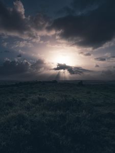 Preview wallpaper field, grass, clouds, cloudy