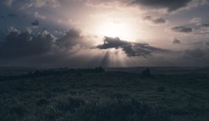 Preview wallpaper field, grass, clouds, cloudy