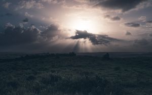 Preview wallpaper field, grass, clouds, cloudy