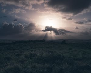 Preview wallpaper field, grass, clouds, cloudy