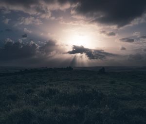 Preview wallpaper field, grass, clouds, cloudy