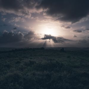 Preview wallpaper field, grass, clouds, cloudy