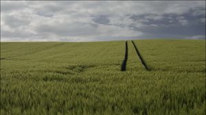 Preview wallpaper field, grass, clouds, sky, nature