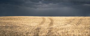 Preview wallpaper field, grass, dry, clouds, landscape