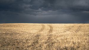 Preview wallpaper field, grass, dry, clouds, landscape