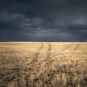 Preview wallpaper field, grass, dry, clouds, landscape