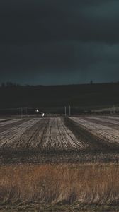 Preview wallpaper field, grass, evening