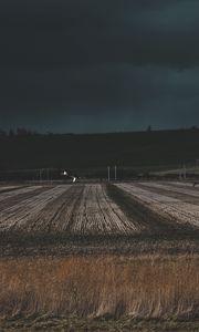 Preview wallpaper field, grass, evening