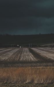 Preview wallpaper field, grass, evening