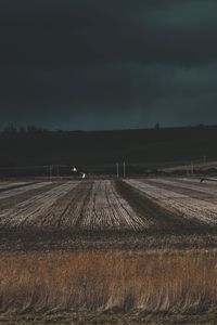 Preview wallpaper field, grass, evening