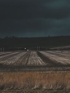 Preview wallpaper field, grass, evening